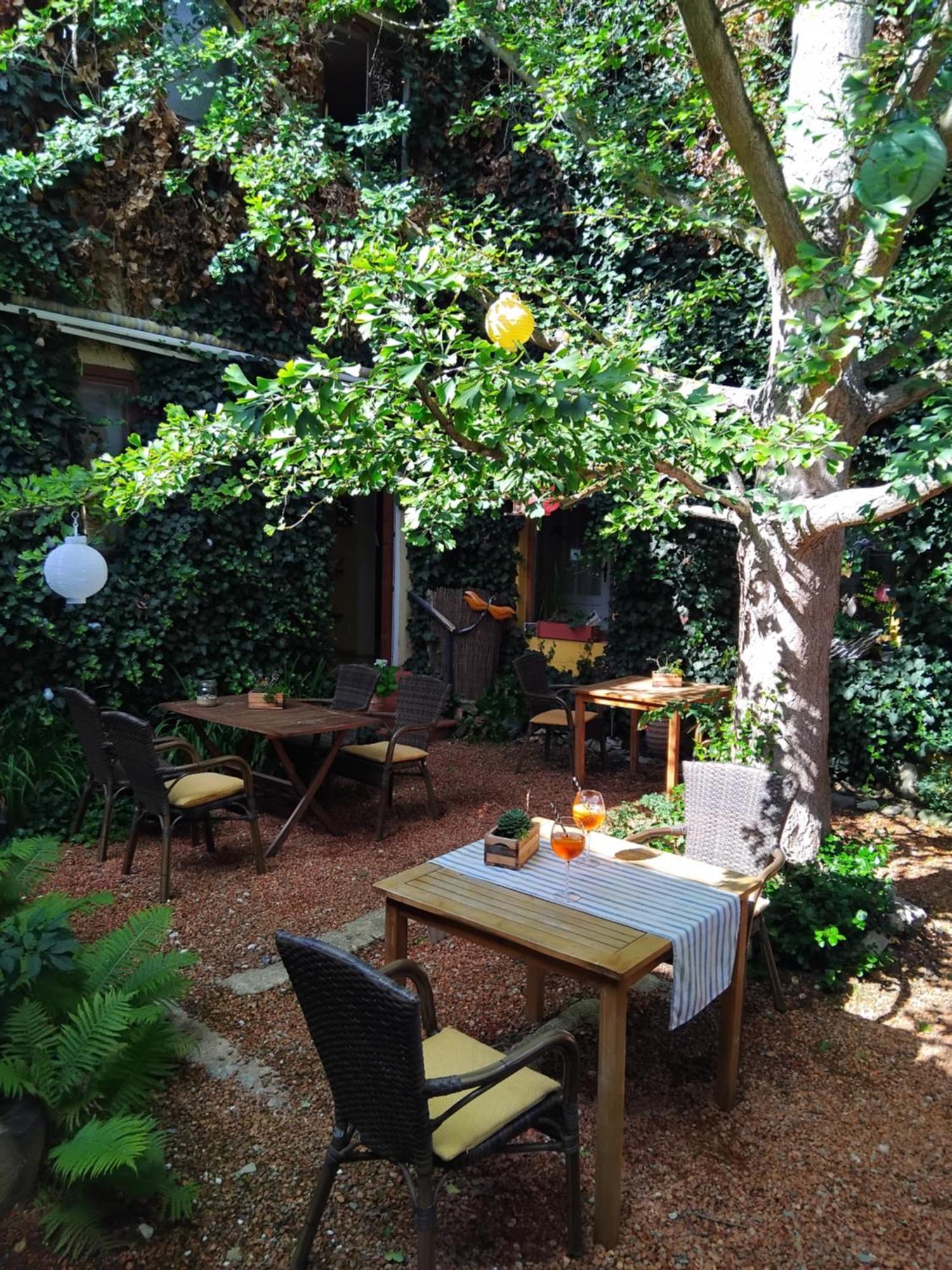 فندق Zum Ginkgobaum Stadtilm المظهر الخارجي الصورة