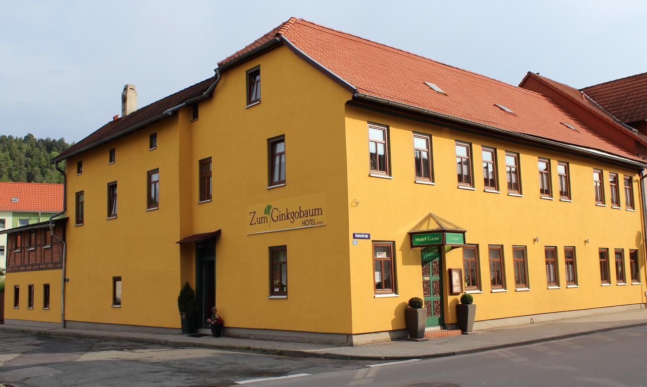 فندق Zum Ginkgobaum Stadtilm المظهر الخارجي الصورة